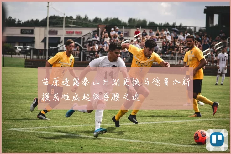 苗原透露泰山计划更换马德鲁加新援或难成超级兽腰之选